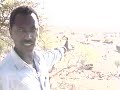 Eritrea lomi wen ab asrom