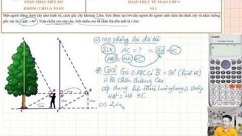 Bài thực hành đo độ cao của cây toán 9