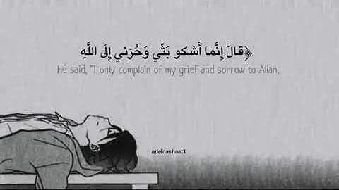 مقطع من سوره يوسف||حالات واتس اب دينيه||مقاطع انستقرام اسلاميه 🥀||وصفففف