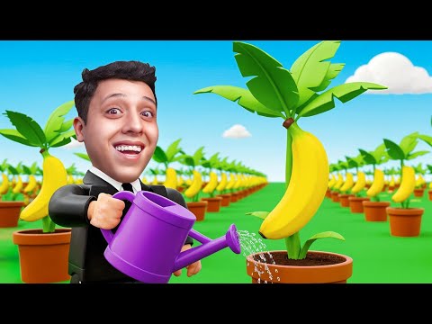 بنيت اكبر مزرعة موز في العالم 