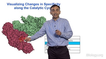 Chaitan Khosla (Stanford) Part 3: Vectorial Specificity of Assembly Lines