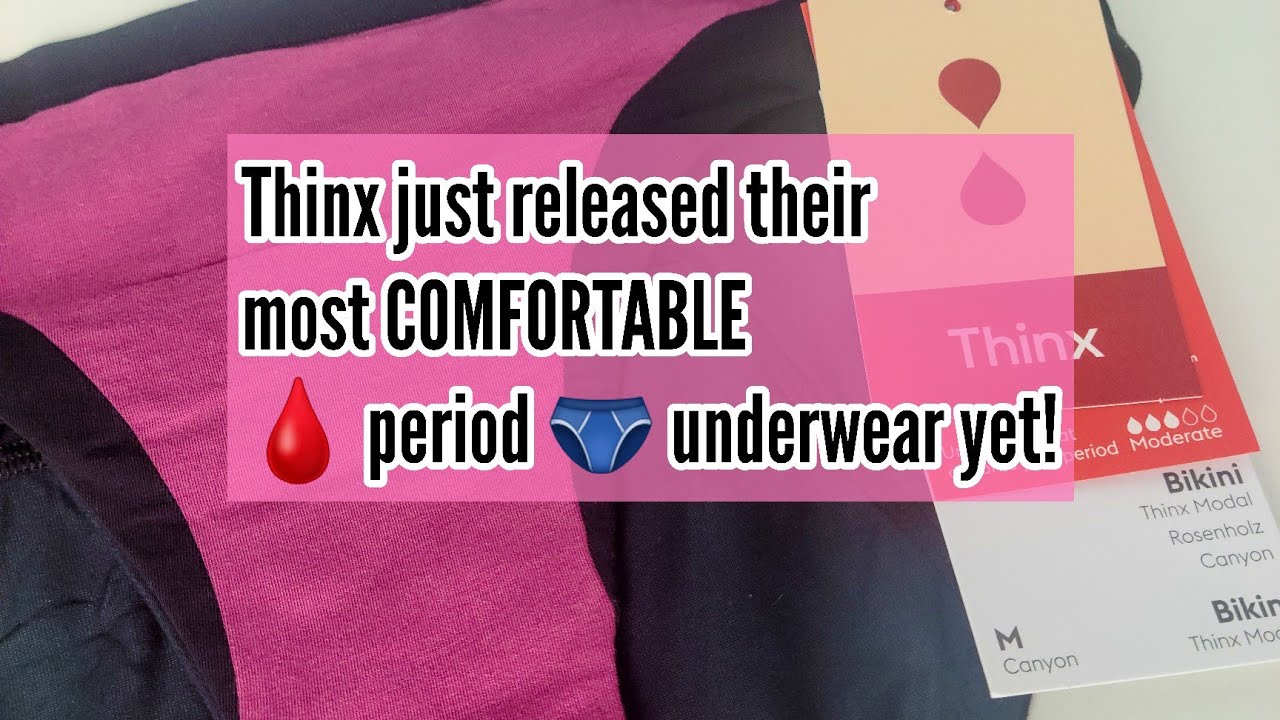 NEW Thinx Modal Cotton Period Underwear 