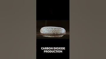 "Why Does Yeast Make Dough Rise? 🍞🔥#BakingTips #YeastScience #FoodMagic"