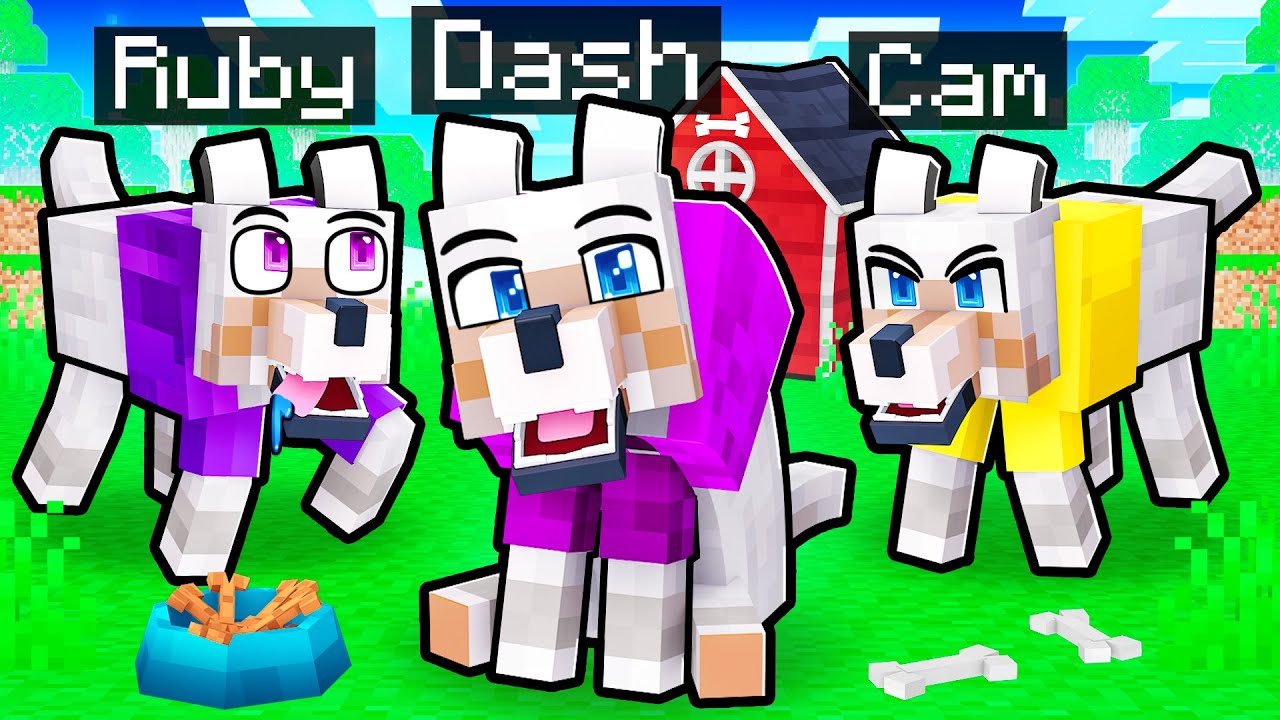 Everyone Became DOGS in Minecraft!