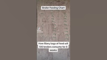 Broiler Feeding Chart- How many bags of feed will 100 broiler chicken consume in 8weeks