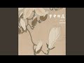 梦中的花 梦中的花