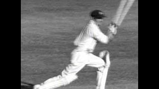 Paul Kelly - Bradman (Official Video)