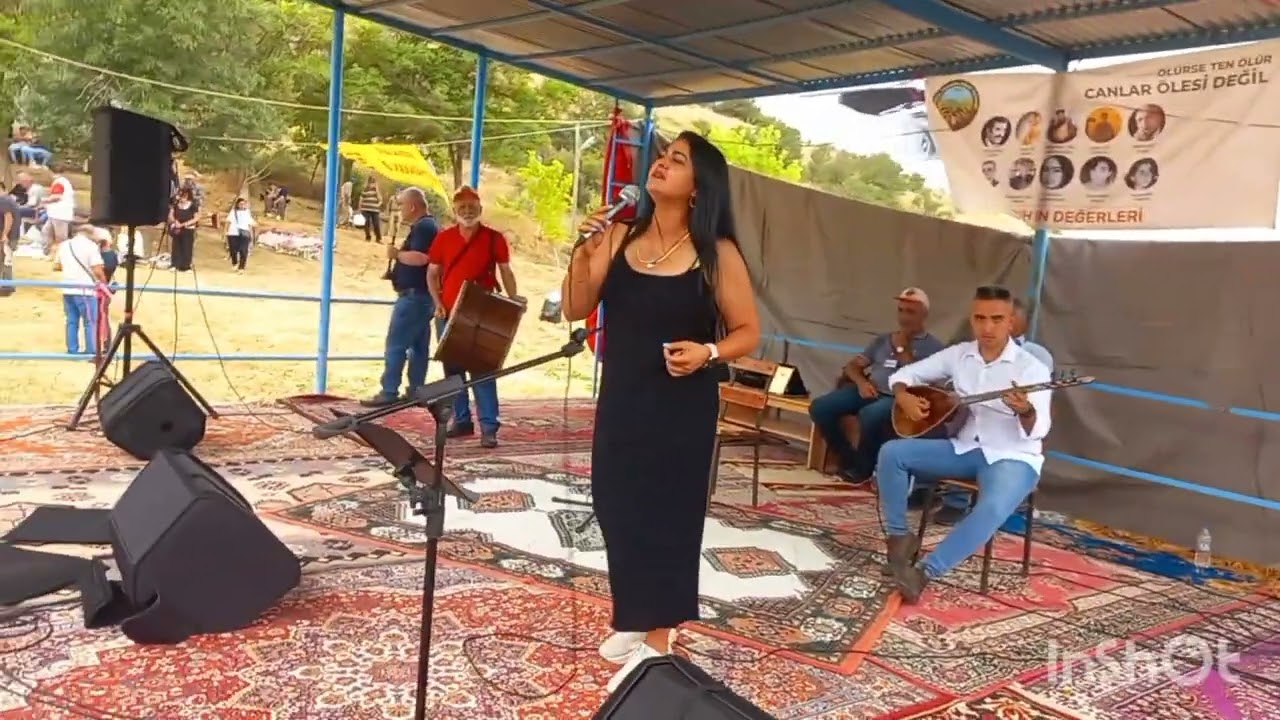 24 .Hüseyin abdal şenlikleri 