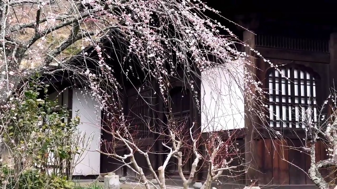 Temple Zuisen-ji.