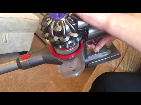 Dyson V8 animal review