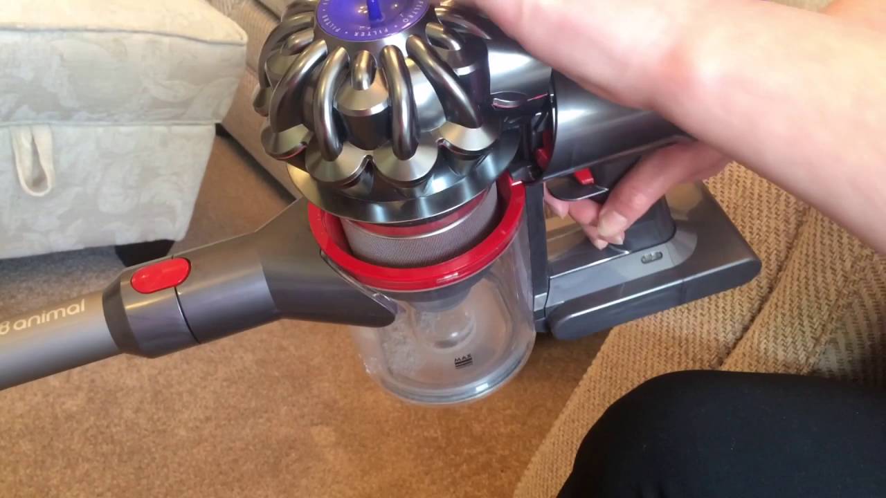 Dyson V8 animal review - YouTube