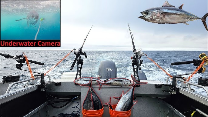 KAWAKAWA - mackerel tuna fishing hawaii