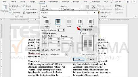 Display a line between columns on the paragraph formatted in two column layout.