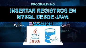 23 Insertar registros en mysql desde java