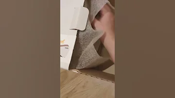 Лучшая когтеточка