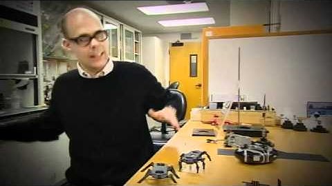 Catalyst: Robot Biomimicry