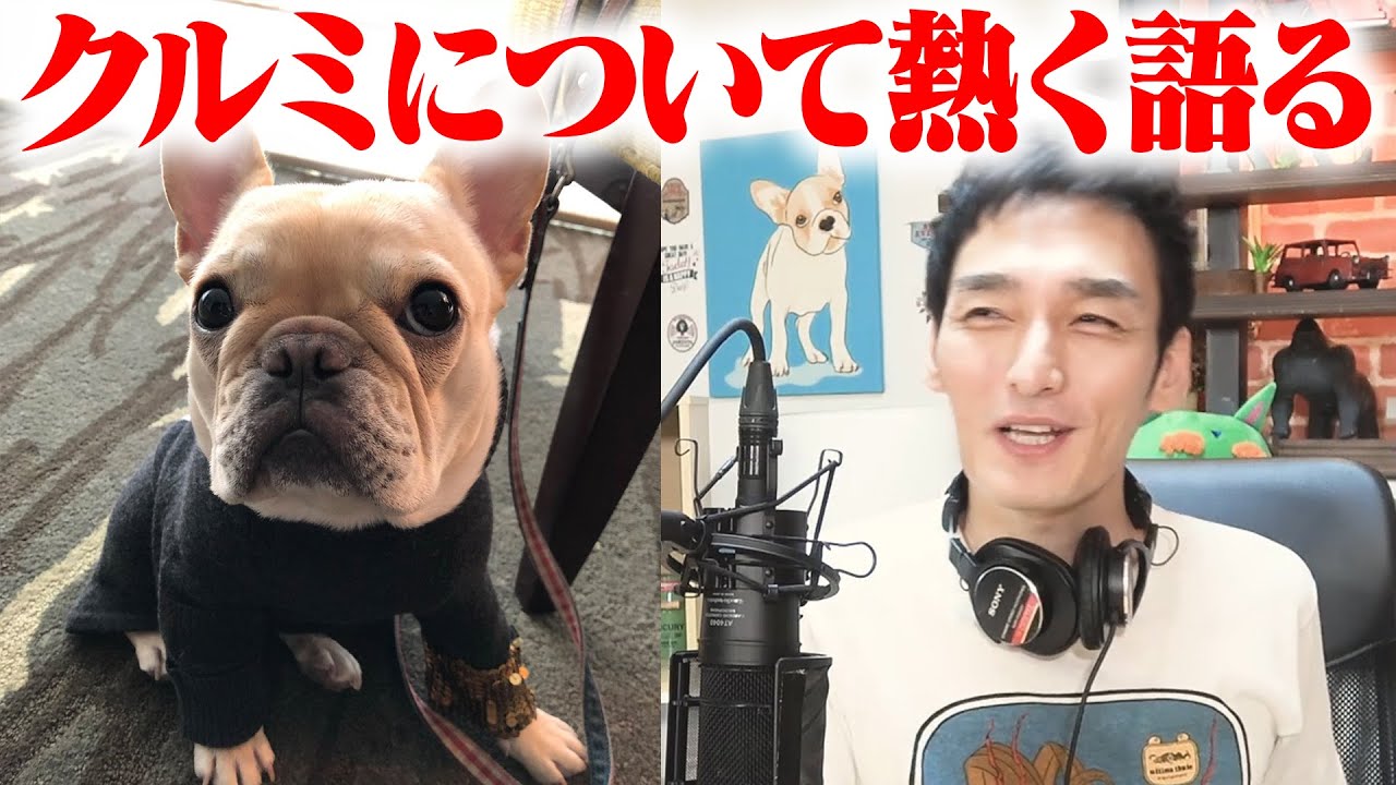 クルミちゃんがいたおかげでいろいろ助かった 愛犬クルミについて草彅剛が熱く語る Youtube