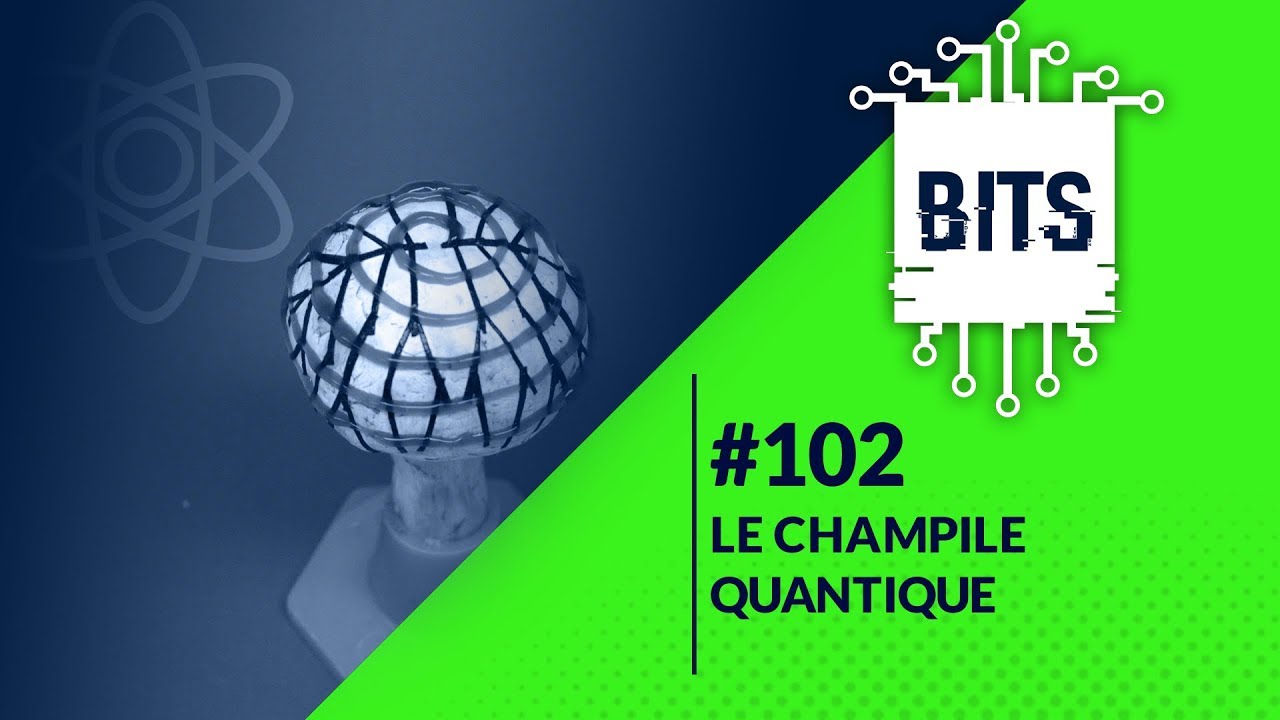 Bits #102 - Le champile quantique episode artwork