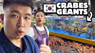 Download Lagu J’Achète Le King Crab De Corée (200€) MP3 Download Lagu J’Achète Le King Crab De Corée (200€) MP3