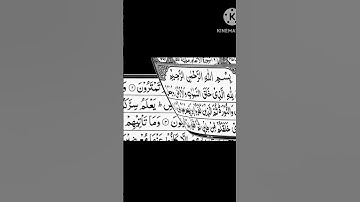سورة الأنعام , surah alanaam, dubai islamic channel