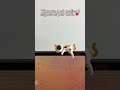 ⏰🔥LAST DAY 50% OFF - Hand-Painted Mini Cat Desk Figurines 😺