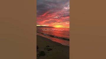 وما نتنزل إلا بأمر ربك || حالات واتس اب قران كريم 💜🌼