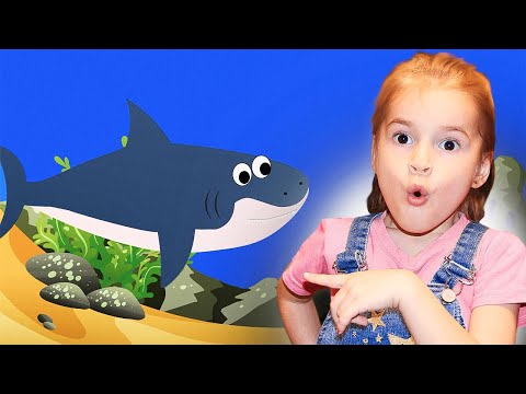 Сборник - Акуленок Я Туруру - Все Серии Baby Shark От Канала Лапатушки Nurcery Rhymes На Русском