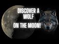 Tonight&#39;s Moon - Wolf Hunting On The Moon! 10th July