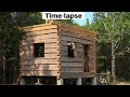 Time-lapse Dovetail Log Cabin Build (Ep 37) Through the Top Plates