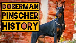The Fascinating History of the Doberman Pinscher: From Guard Dog to Beloved Companion screenshot 5