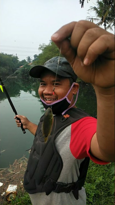 pemancing Lebay||story wa||kata kata bijak||viral🥀🔥