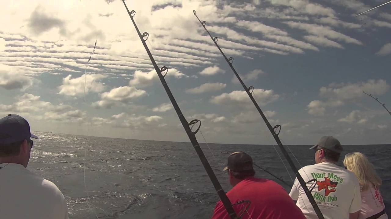 Offshore Fishing On Reel Busy Fishing Charters Stuart FL YouTube Offshore fishing on reel busy fishing charters stuart fl youtube