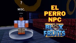 What Does El Perro Do in Blox Fruits | How To Talk To El Perro NPC | Second Sea