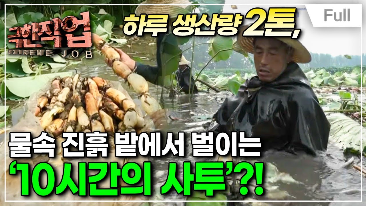 [Full] 극한직업 - 중국 연근 채취