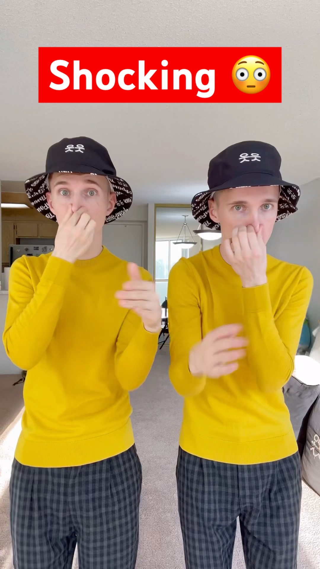 Delayed Mirror Filter or Twins? ?
