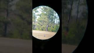 Fort Gordon Mammoth Practice422 Yd 8 Inch Sniper Head