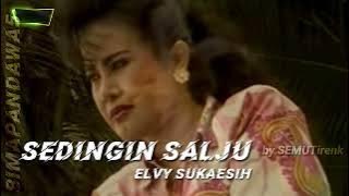 ELVY SUKAESIH _ SEDINGIN SALJU ' lirik '