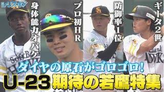 ホークスにダイヤの原石たくさん！23歳以下 期待の若鷹特集【シリスポ！ホークスこぼれ話】