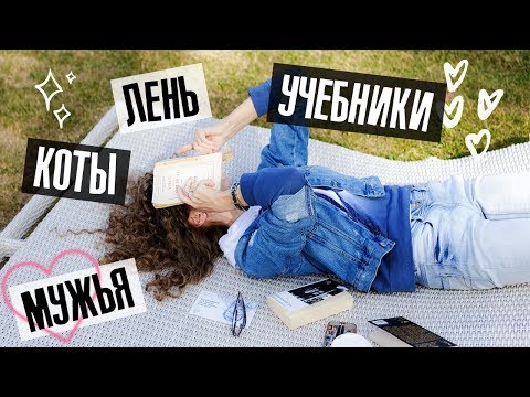 Стрим Instagram: учебники, лень, коты и мужья | Елена Кундера