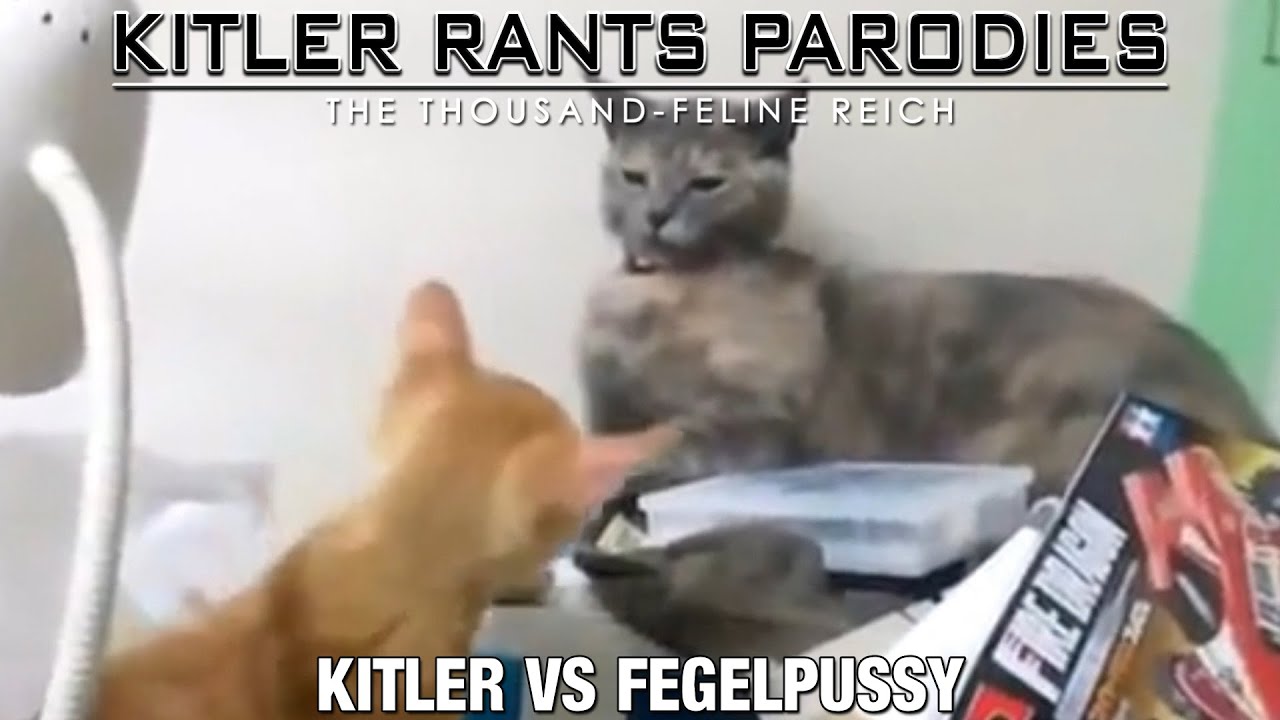 Kitler Vs Fegelpussy