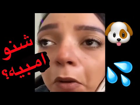 شنو يعني امبيه جاك الرد يا