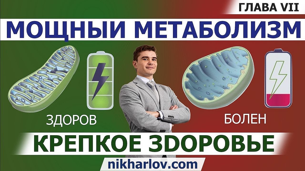 доказать, что митохондрии являются полуавтономной системой