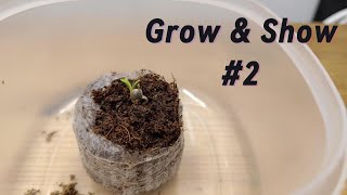 Grow & Show #2