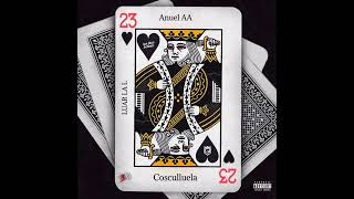 23 remix ¦ Anuel ft Cosculluela & Luar la l ¦ Audio no oficial