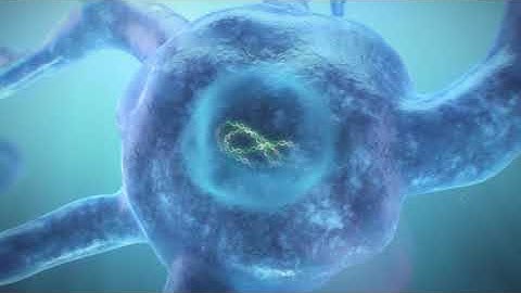 epiMOGRIFY Cell Culture Technology