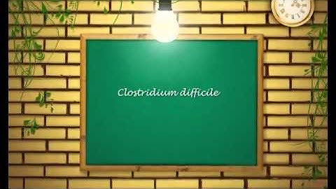 Clostridium difficile   Overview