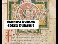 Carmina Burana / Codex Buranus