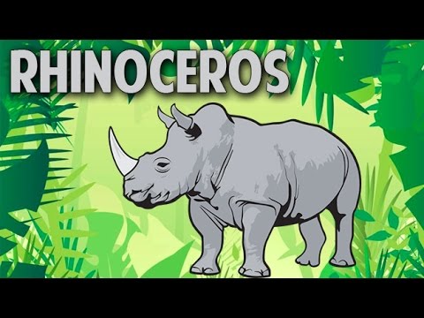 How To Pronounce 'RHINOCEROS' | गेंडा | Pronunciation In HINDI | Animal |  HD | Lehren Kids - YouTube