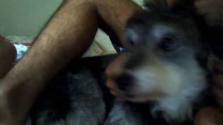 Capture 20090509