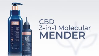 L&F 3-in-1 Molecular Mender